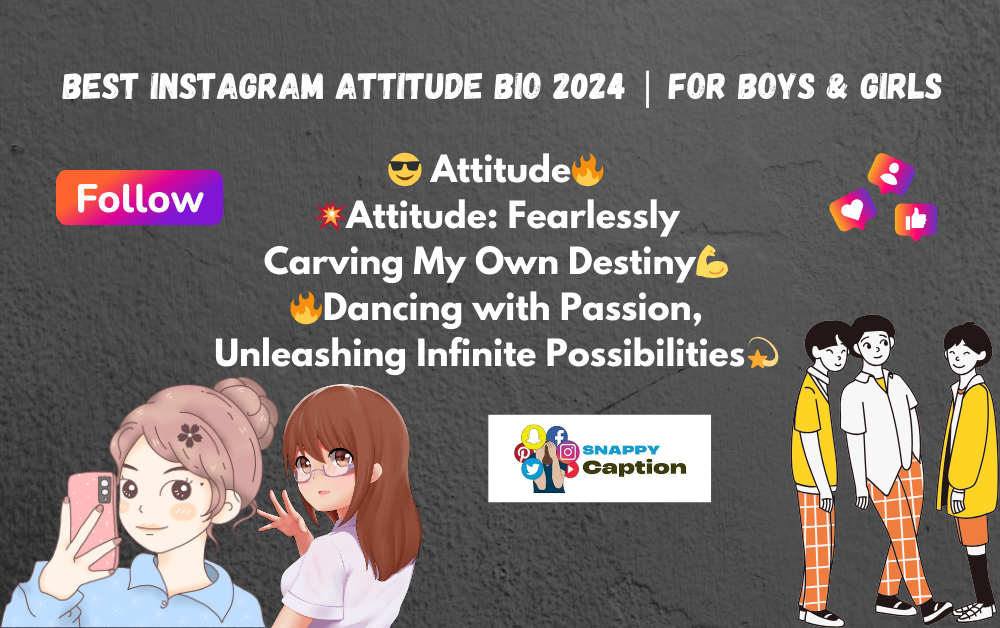 Best Instagram Attitude Bio