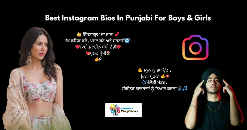 Best-instagram-bio-in-punjabi-for-boys-and-girls